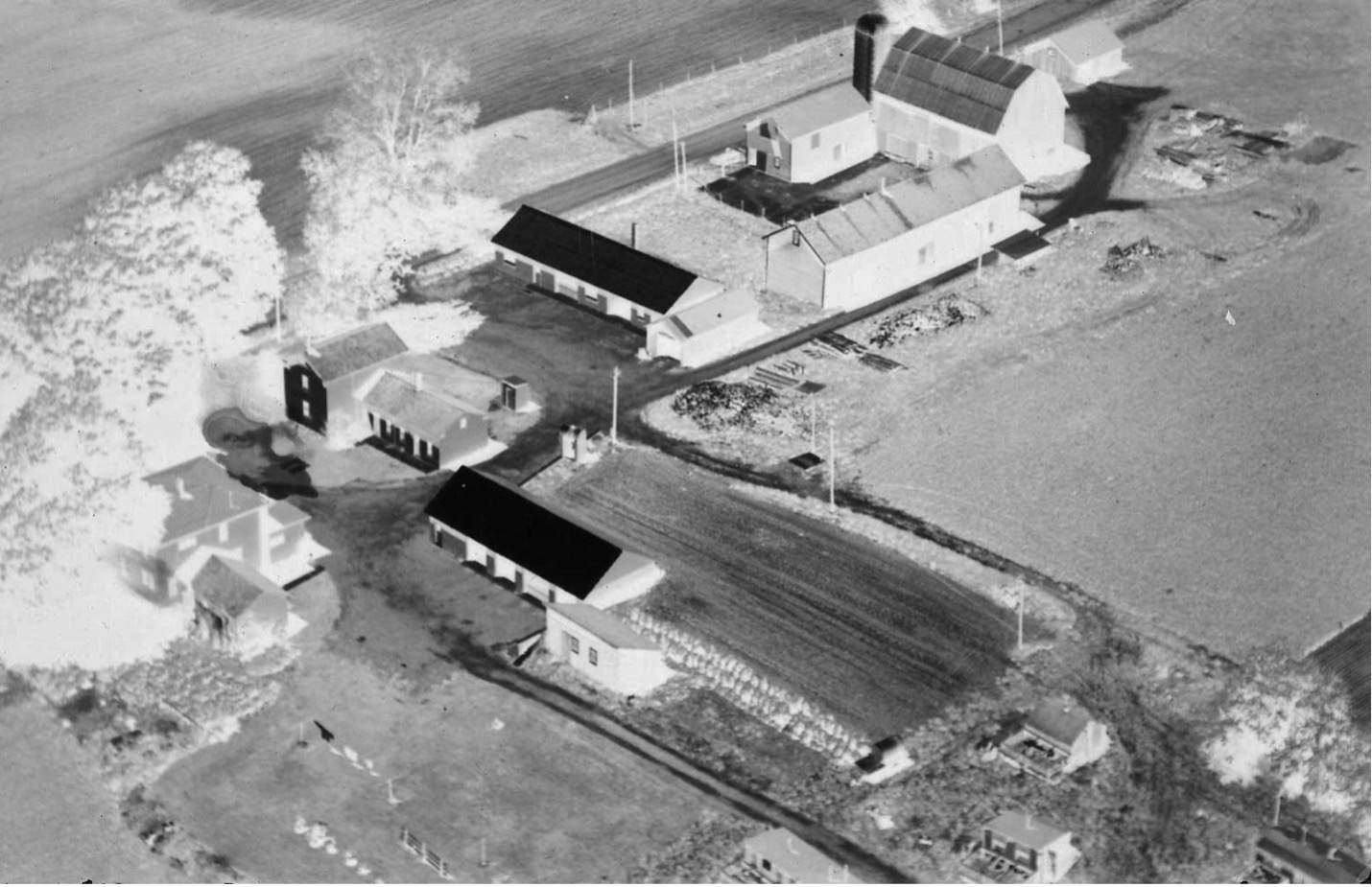 Aerial view of Plainville Turkey Farm ~1950